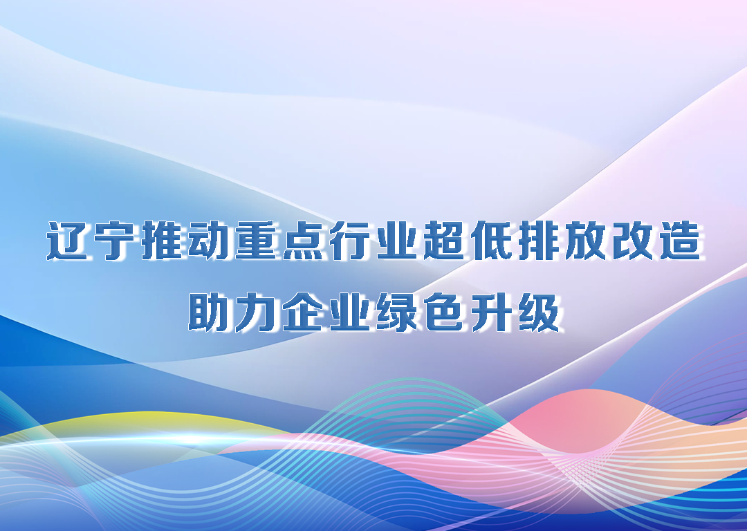 决胜勇争先·厅说辽宁（第20期）丨辽宁推动重点行业超低排放改造 助力企业绿色升级