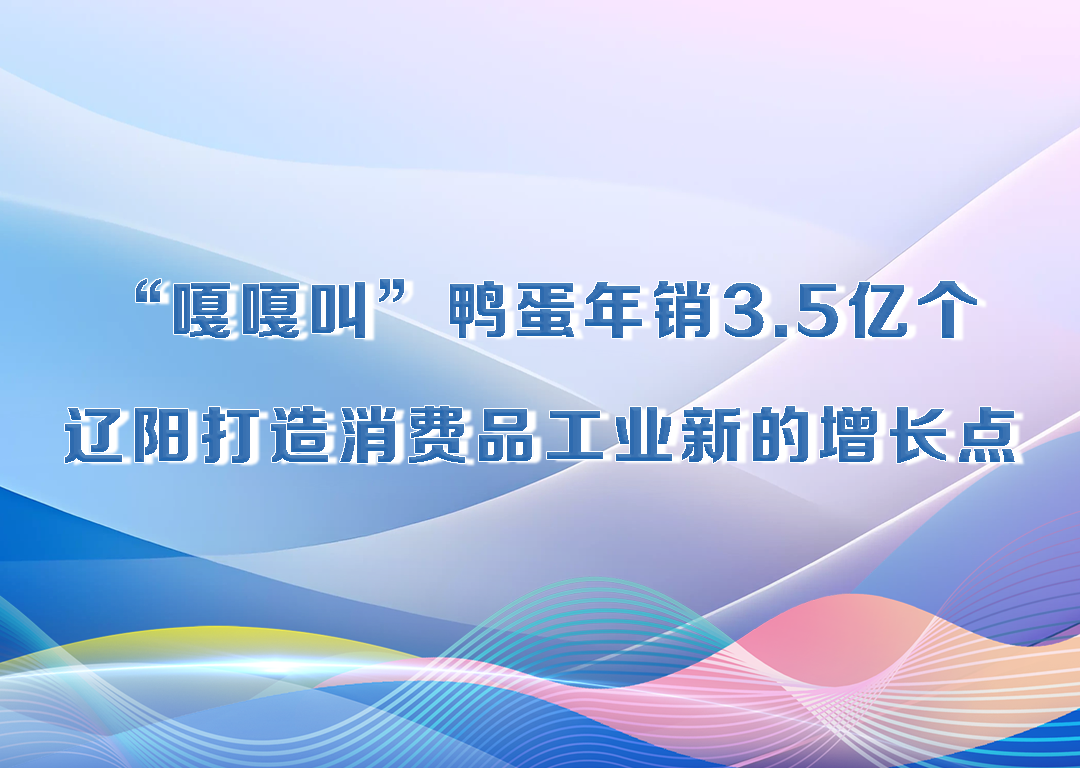 厅说辽宁（第31期）丨“嘎嘎叫”鸭蛋年销3.5亿个 辽阳打造消费品工业新的增长点