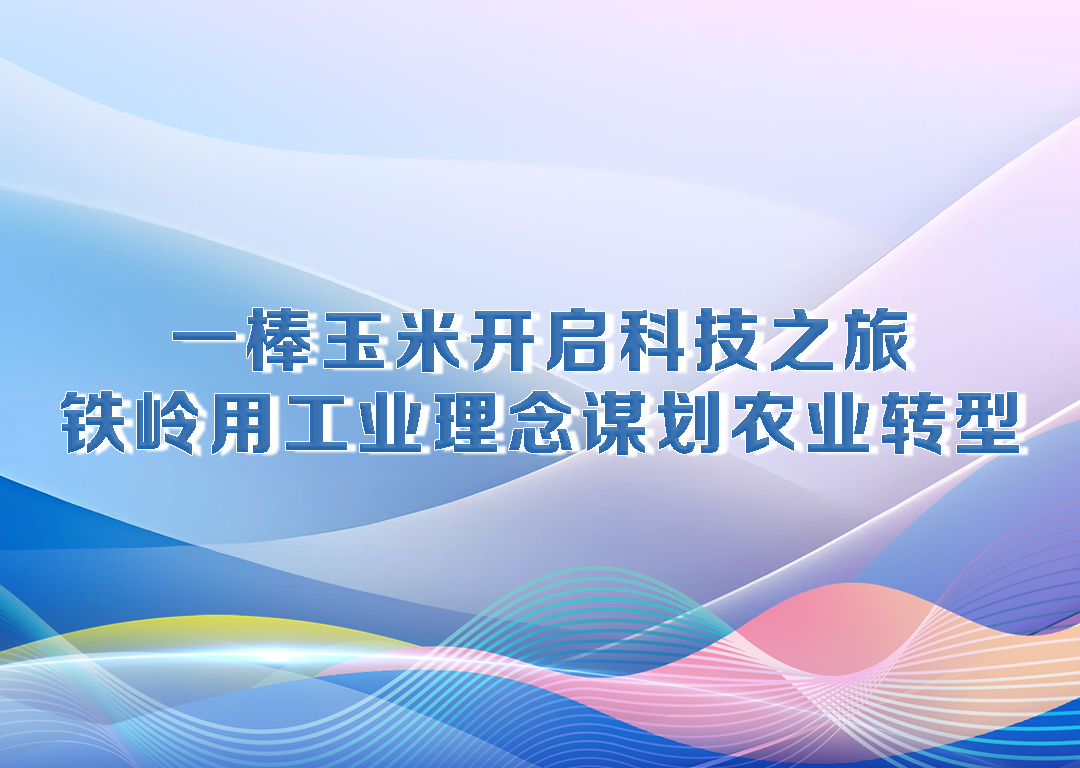 厅说辽宁（第32期）丨一棒玉米开启科技之旅 铁岭用工业理念谋划农业转型
