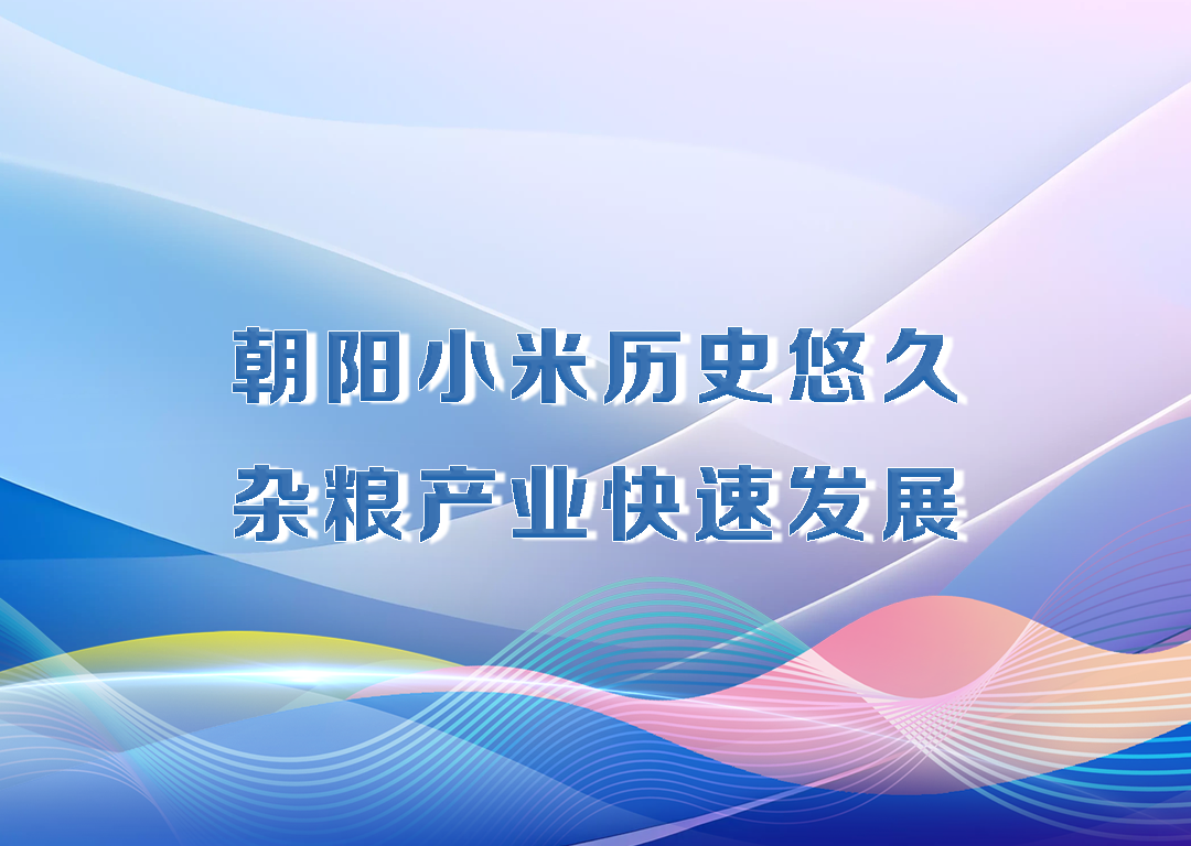 厅说辽宁（第33期）丨朝阳小米历史悠久 杂粮产业快速发展