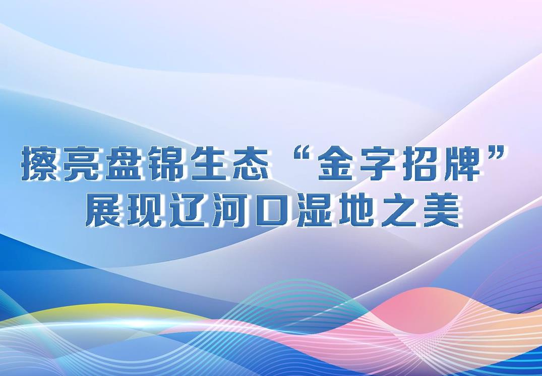 厅说辽宁（第34期）丨擦亮盘锦生态“金字招牌” 展现辽河口湿地之美