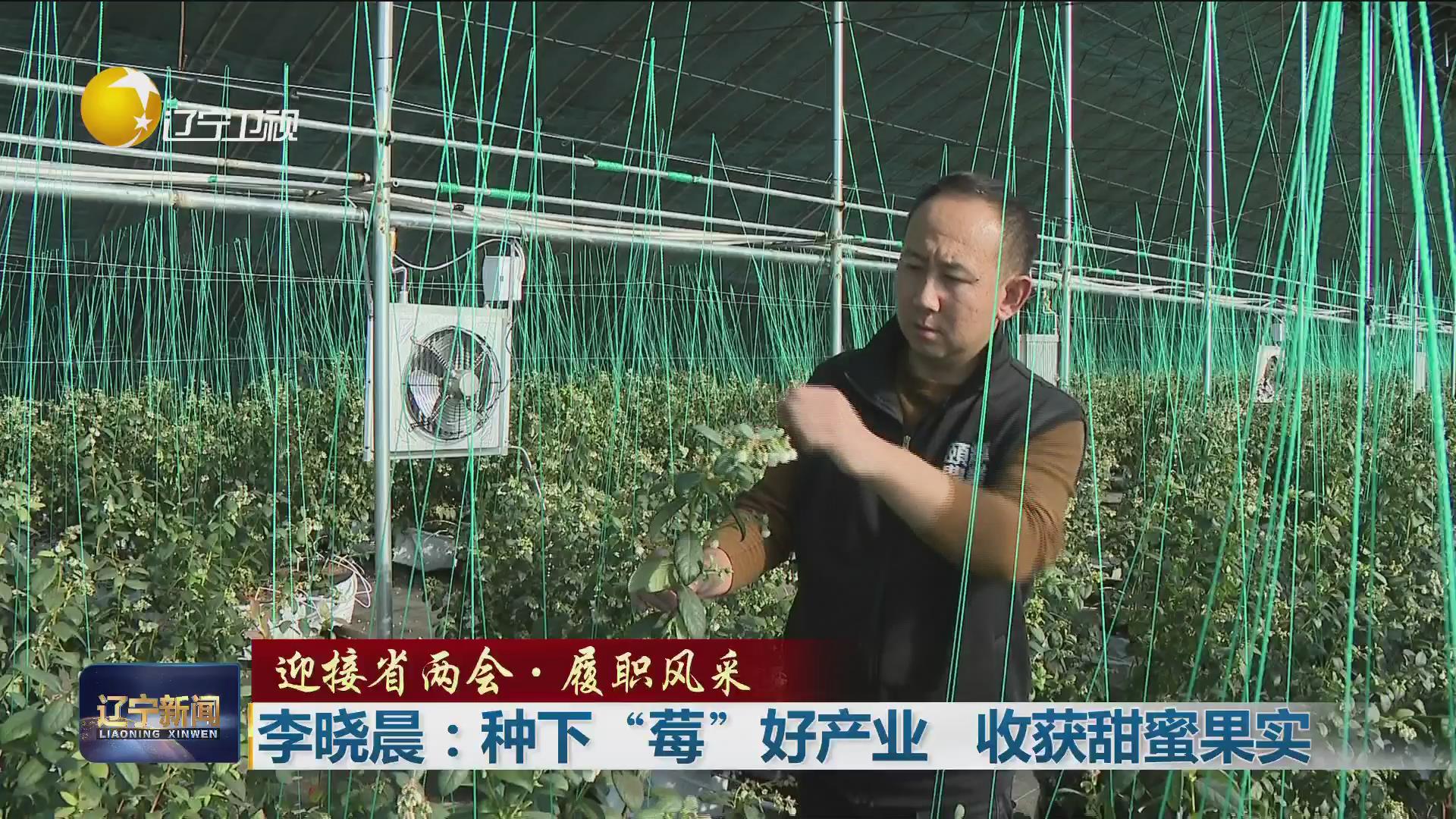 迎接省两会·履职风采丨李晓晨：种下“莓”好产业 收获甜蜜果实