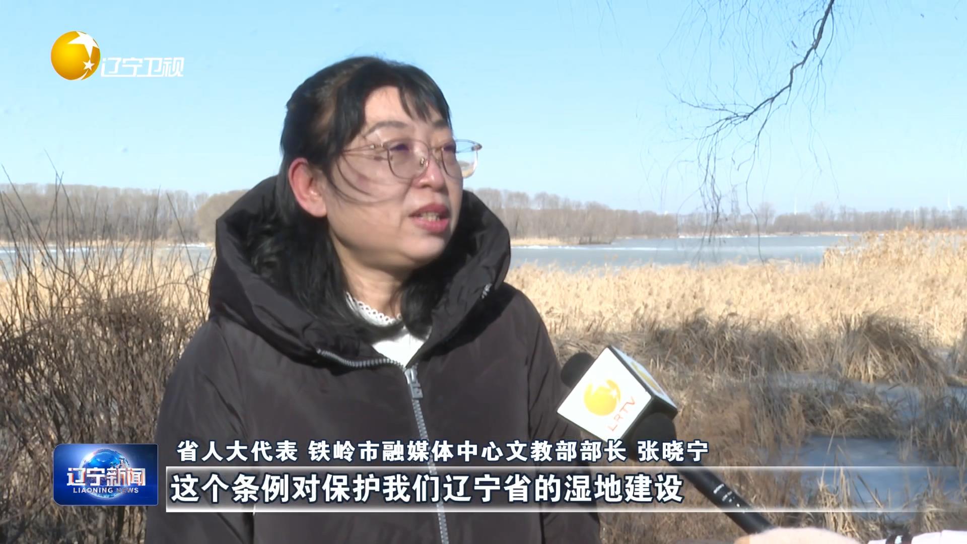 代表委员风采丨张晓宁代表：全面加强湿地保护工作