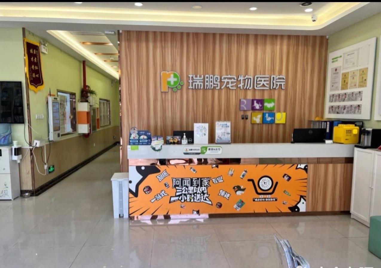 新瑞鹏旗下深圳一宠物医院因使用过期疫苗被处罚-东北新闻网