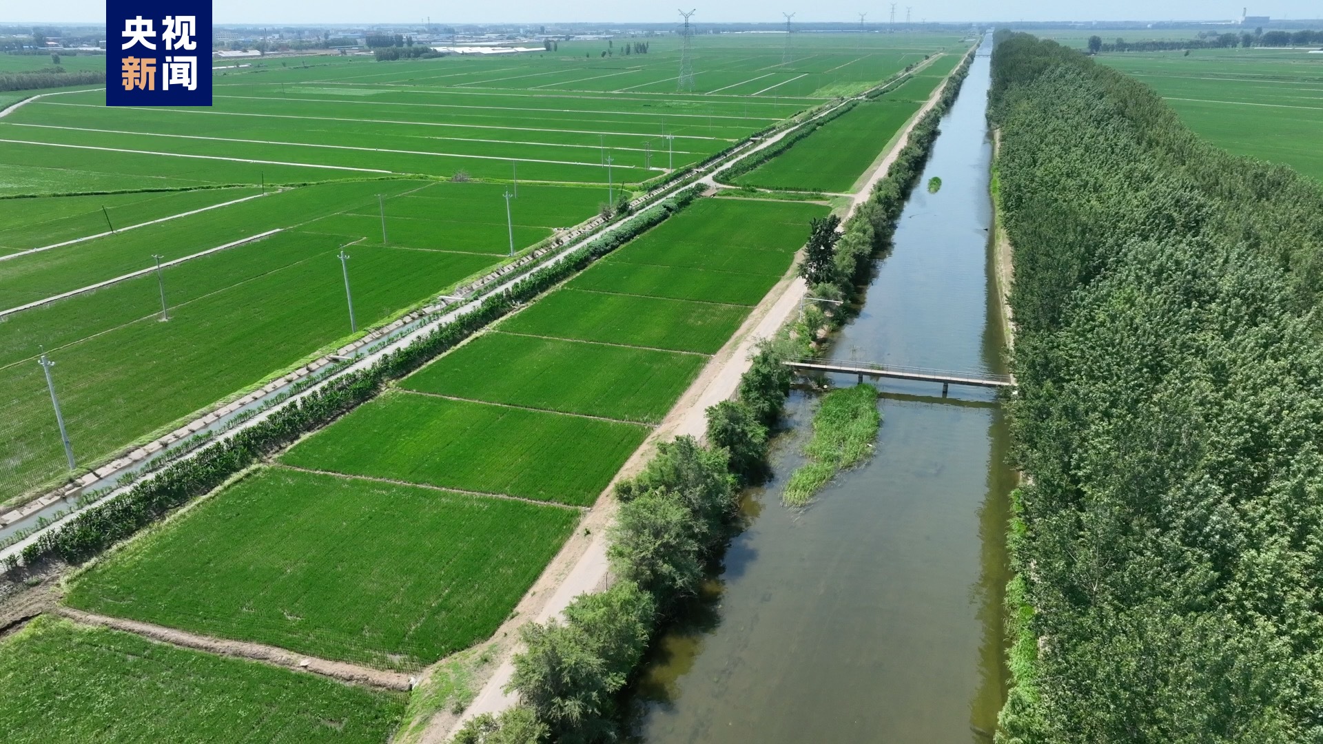 在沈阳市的浑浦灌区,连续晴热天气造成部分水田出现缺水情况,水利部门