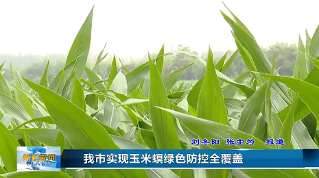 Image-1