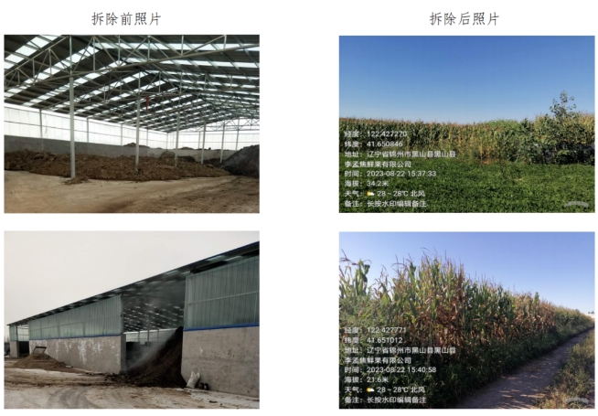 锦州通报8起新增农村乱占耕地建房典型案例查处整改情况