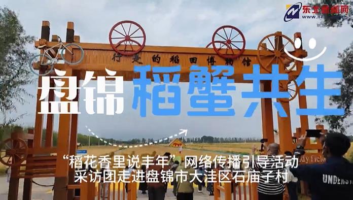 稻花香里说丰年 走进盘锦大洼区石庙子村