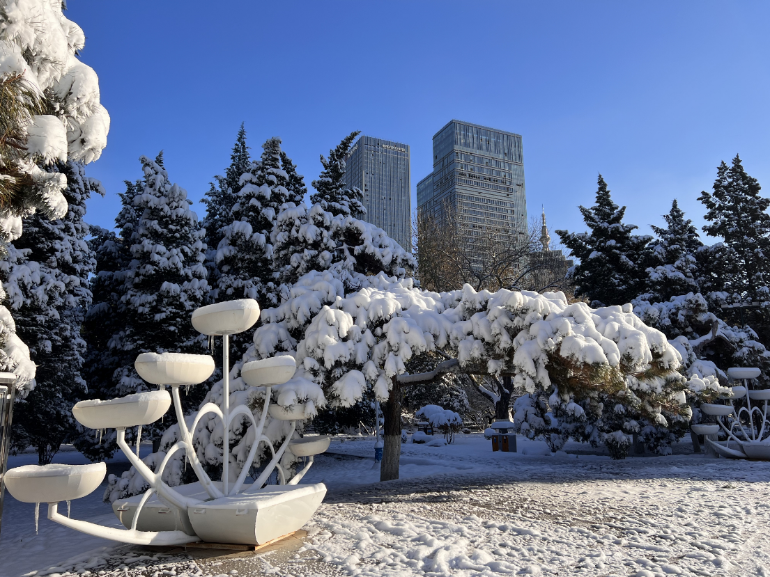 图组雪后沈阳美景如画