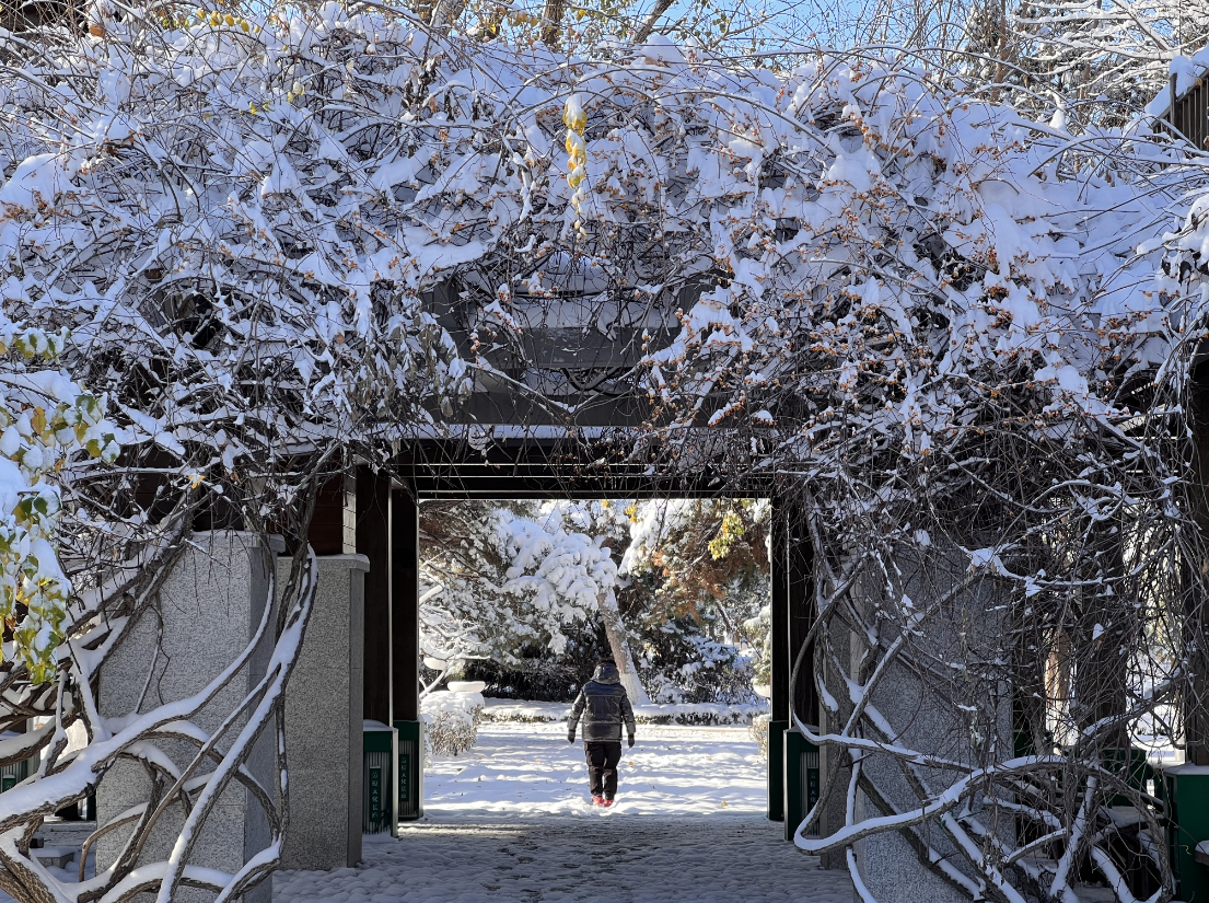 图组 | 雪后沈阳,美景如画
