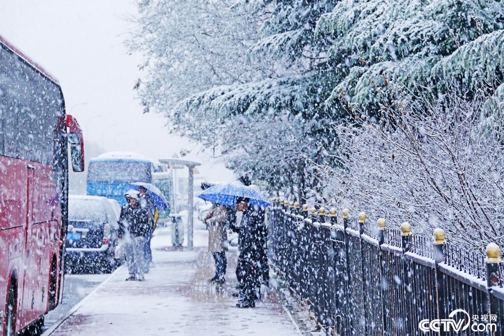 大连大雪纷飞 市民冒雪出行