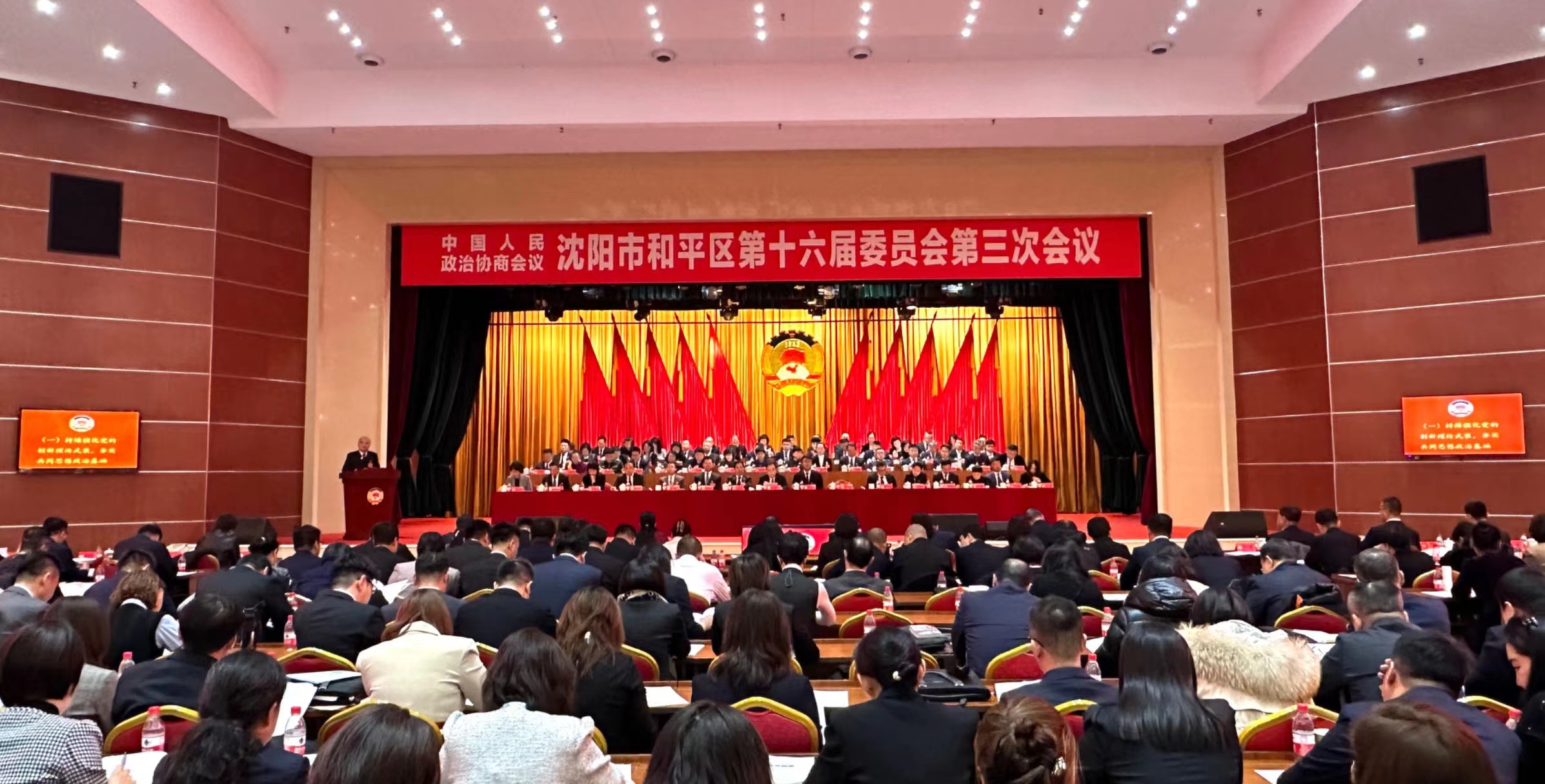 【聚焦和平两会】中国人民政治协商会议 沈