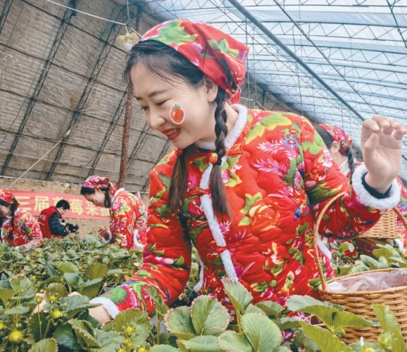 沈阳新民市首届草莓文化节启幕三大主题活动邀您踏青赏春