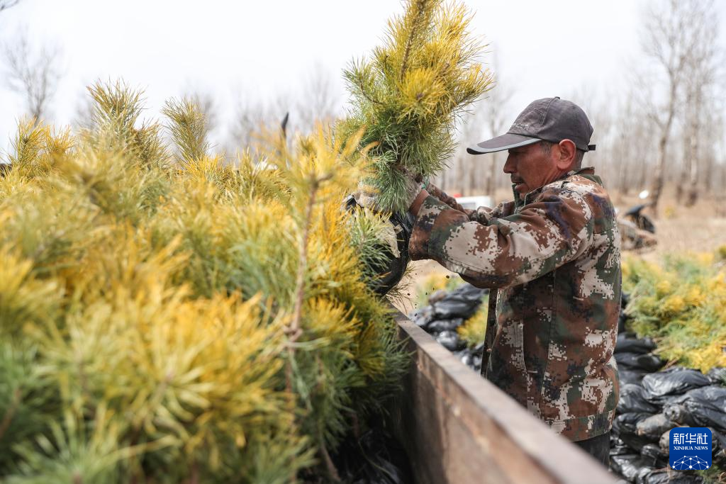 新华社记者 龙雷 摄3月25日,辽宁省阜新市彰武县大德镇黄花村村民在