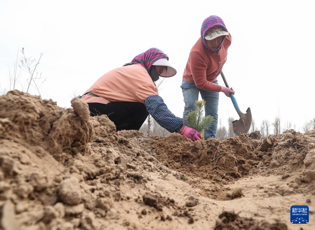 新华社记者 龙雷 摄3月25日,辽宁省阜新市彰武县大德镇黄花村村民在