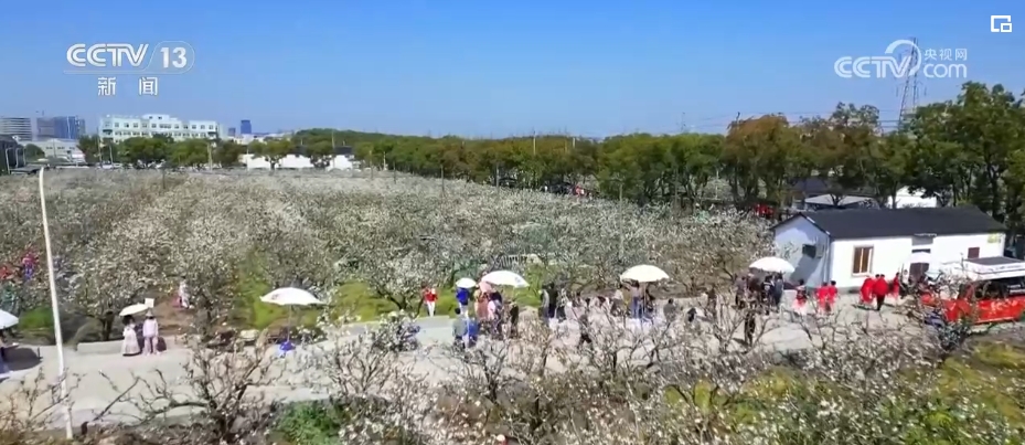 绿水青山绽放美丽经济为乡村振兴增香添彩