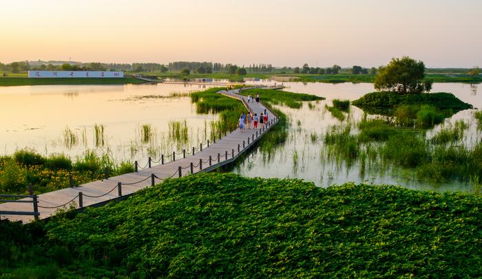 推荐三:蒲河生态廊道,辽河·七星湿地公园观光小火车是仿跃进105型