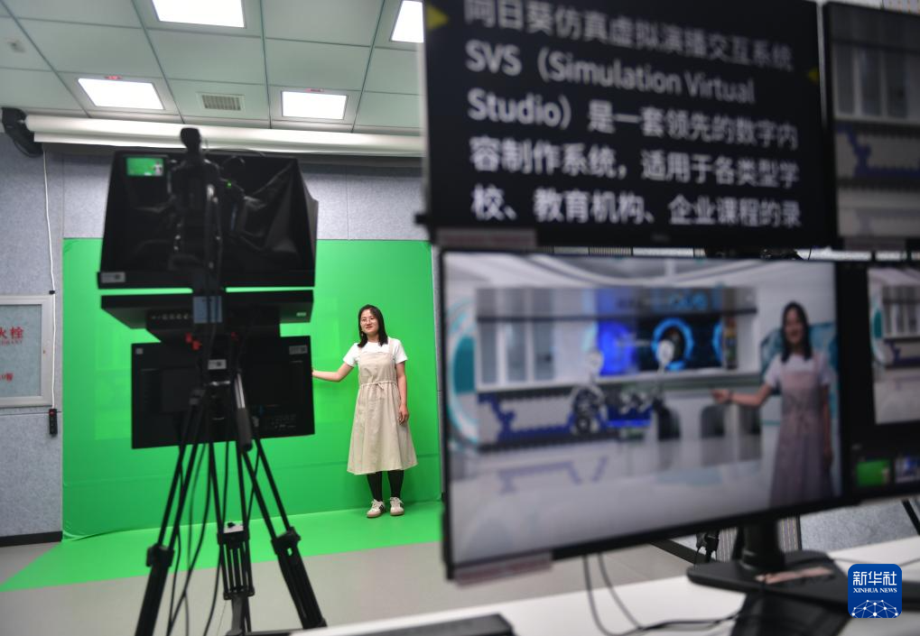 壮大软件开发产完美真人业 重拾数字经济优势(图5)