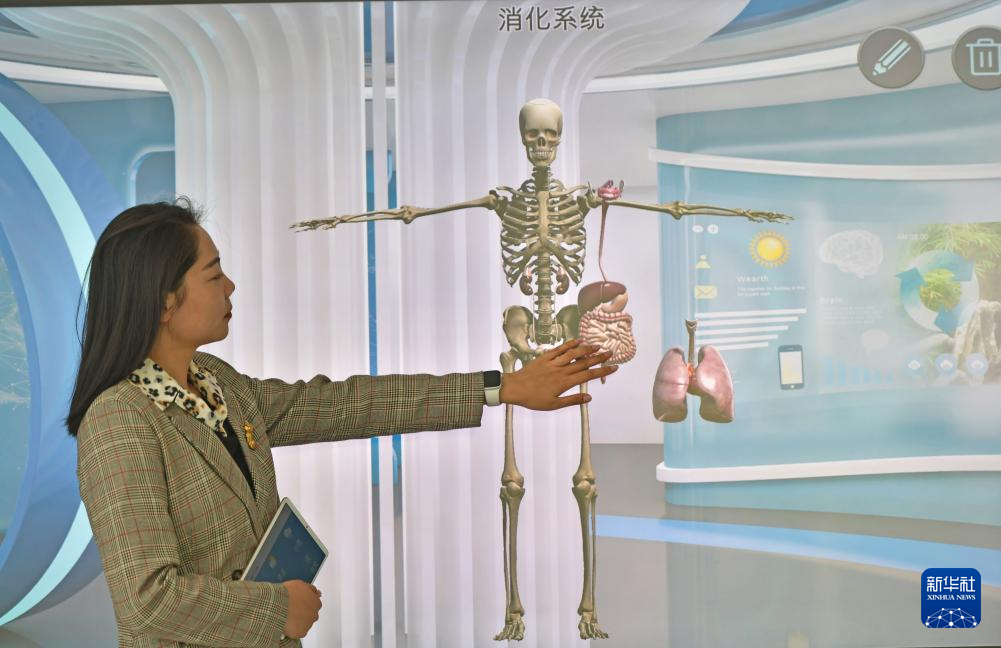 壮大软件开发产完美真人业 重拾数字经济优势(图8)