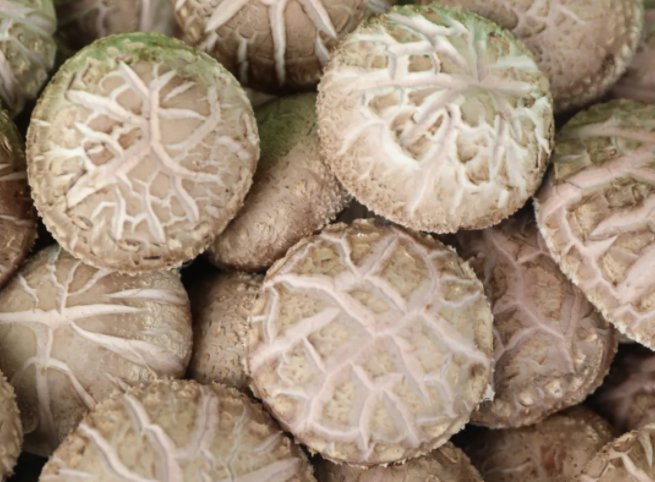 好品中国|超级"蘑"力 不可"菇"量