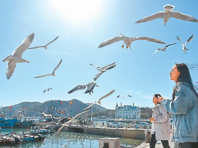 您当前的位置:>东北新闻网>辽宁频道>中央媒体看辽宁> 游客在大连老虎