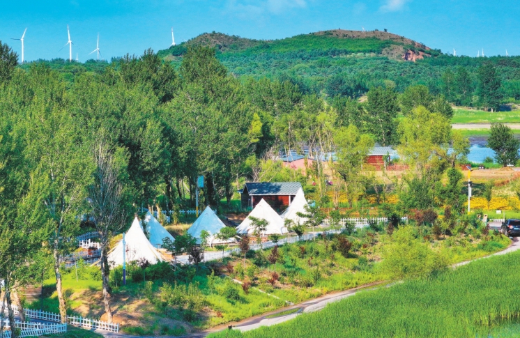 黄沙止步绿意浓——阜新市一年来高质量打好打赢科尔沁沙地歼灭战纪实