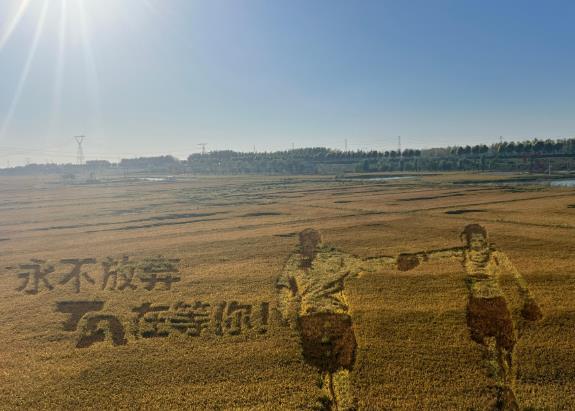 稻花香里说丰年丨当“丰景”交融“风景”
