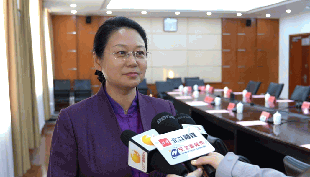 与会者说丨潘爽：促进商、旅、文、体深度融合