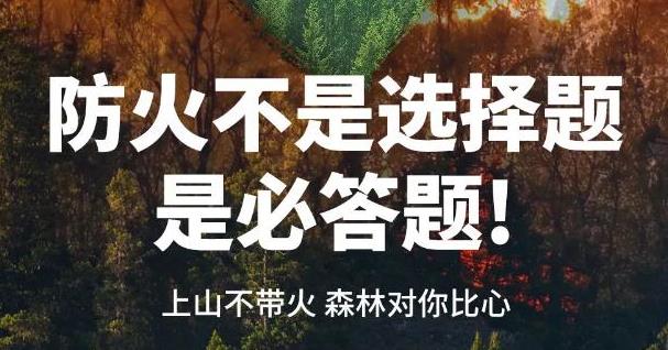 请用心呵护这些生命！