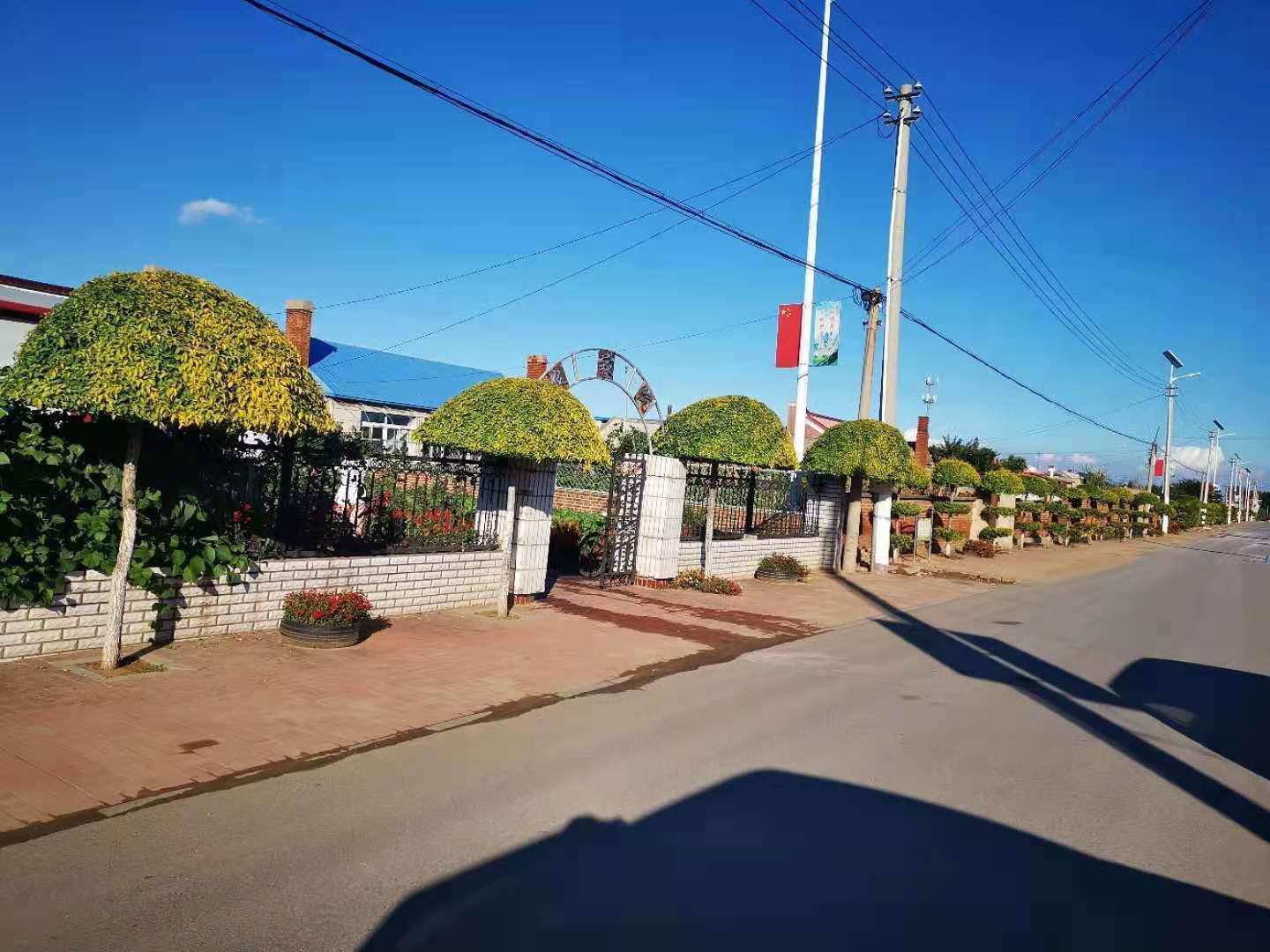 "绿水青山就是金山银山",沈阳市坚持把改善农村人居环境作为乡村振兴