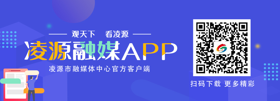 凌源融媒