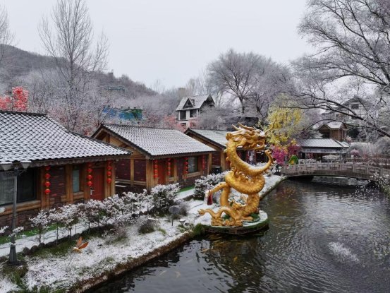 微信图片_20251208103106