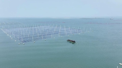 ff95f22c450b1073b560a6d24bfb6570