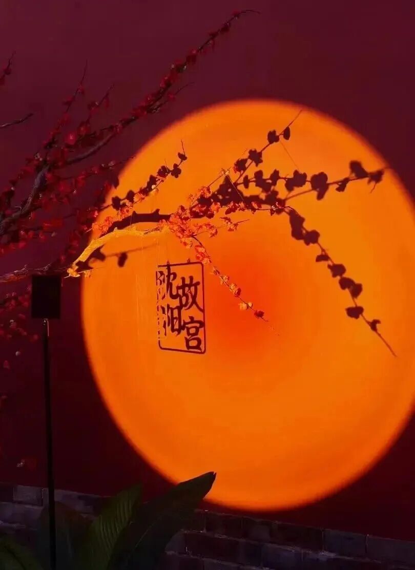 ͼƬ