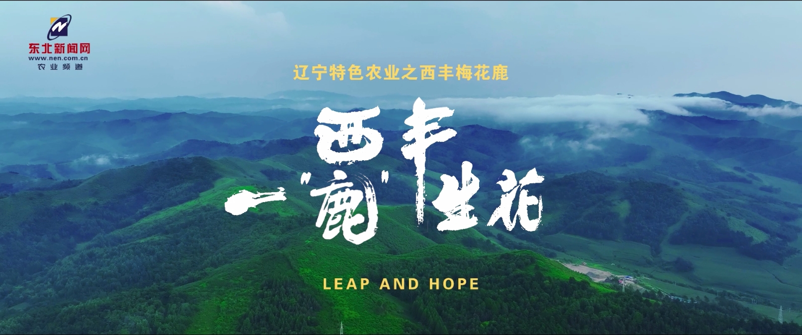 西丰，一“鹿”生花