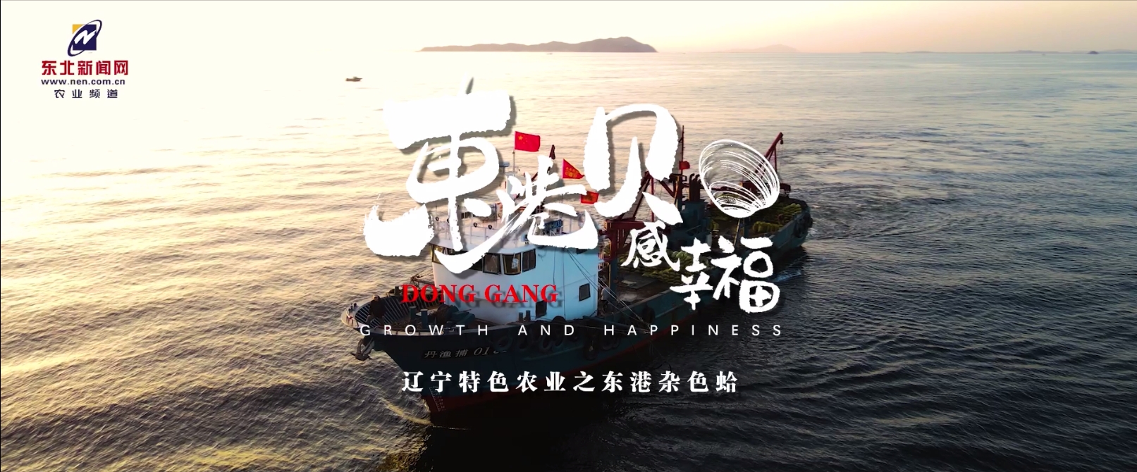 东港，“贝”感幸福