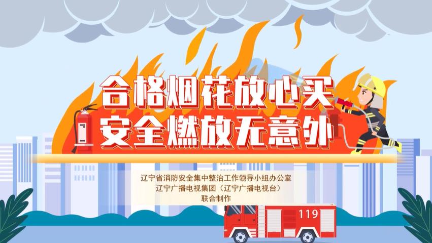 合格烟花放心买 安全燃放无意外
