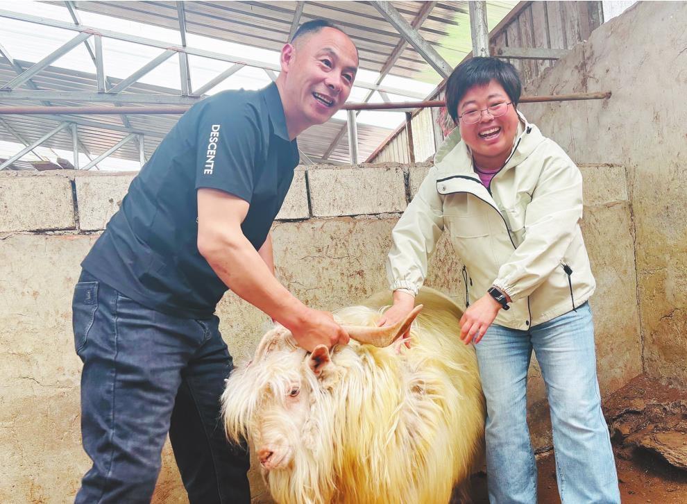 营口选聘28名优秀科技人才担任产业副乡镇长 乡村特色产业迎来振兴“及时雨”