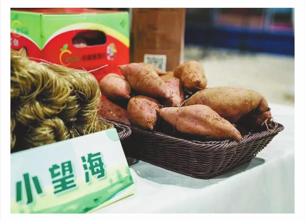 小望海地瓜