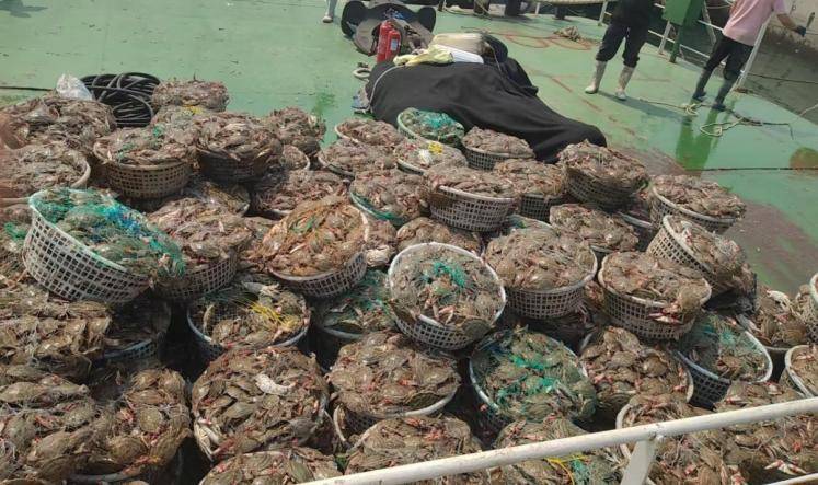 雷霆出击！庄河查获非法捕捞蟹6000斤