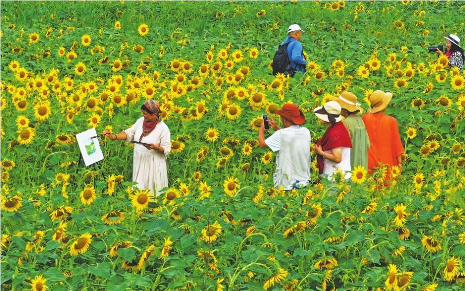 农旅融合花开正艳
