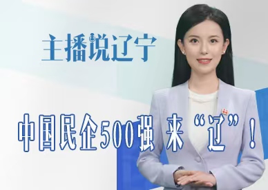 主播说辽宁丨中国民企500强，来“辽”！