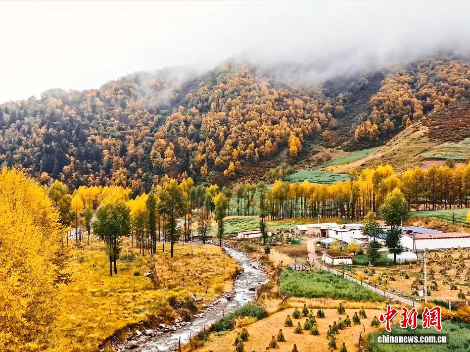 航拍高原深秋美景：雪覆山巅 秋染山河