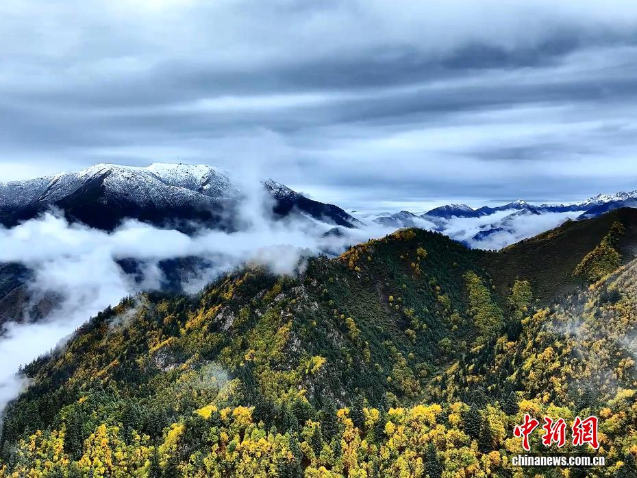 航拍高原深秋美景：雪覆山巅 秋染山河
