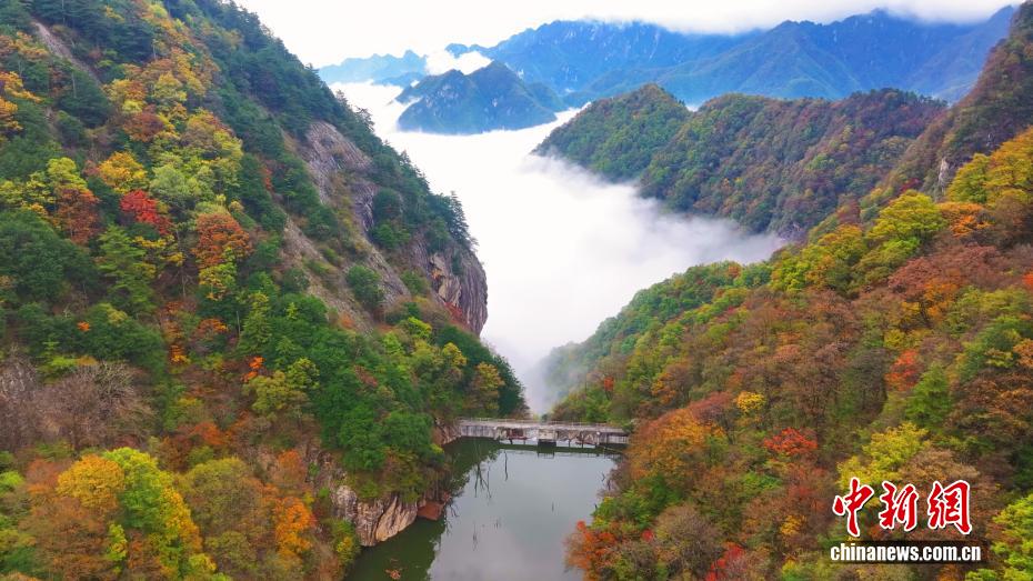 秋意渐浓 秦岭腹地层林尽染