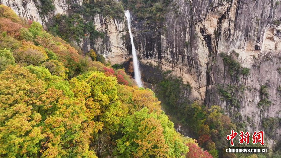 秋意渐浓 秦岭腹地层林尽染