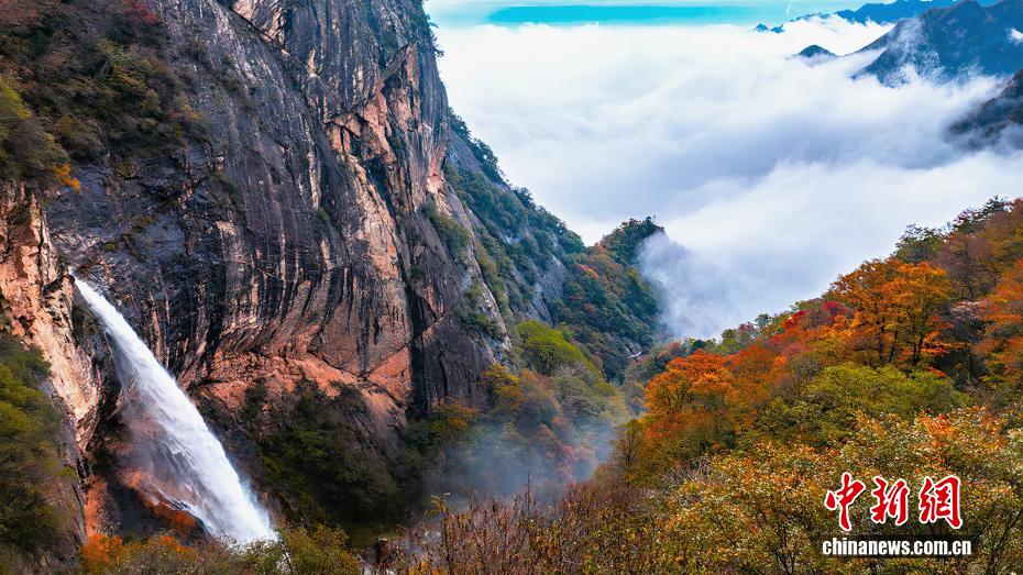 秋意渐浓 秦岭腹地层林尽染