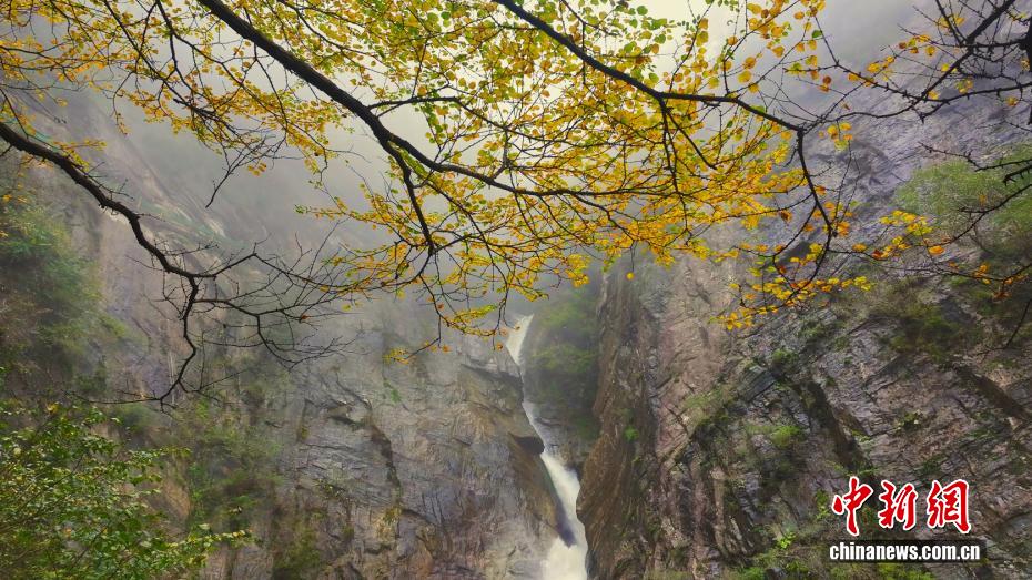 秋意渐浓 秦岭腹地层林尽染