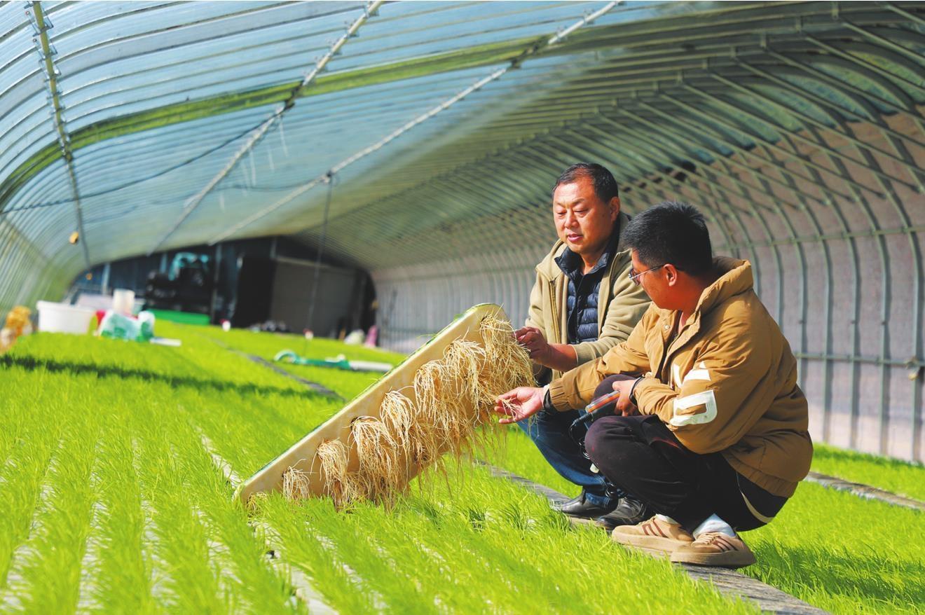 蔬菜种水里 增收路更宽