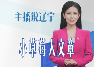 主播说辽宁｜小草莓大文章